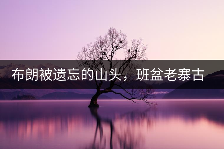 布朗被遺忘的山頭，班盆老寨古茶園介紹