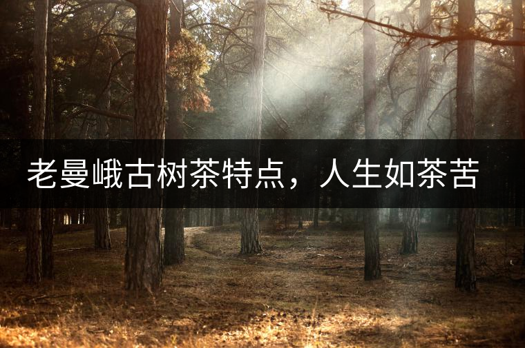 老曼峨古樹茶特點，人生如茶苦盡甘來