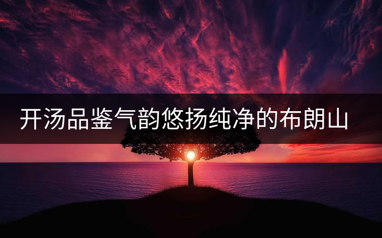 開湯品鑒氣韻悠揚(yáng)純凈的布朗山古樹茶