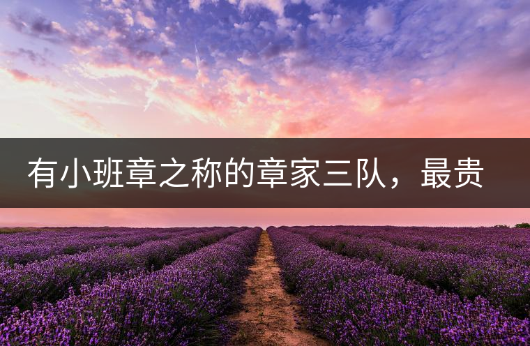 有小班章之稱的章家三隊(duì)，最貴的小樹茶