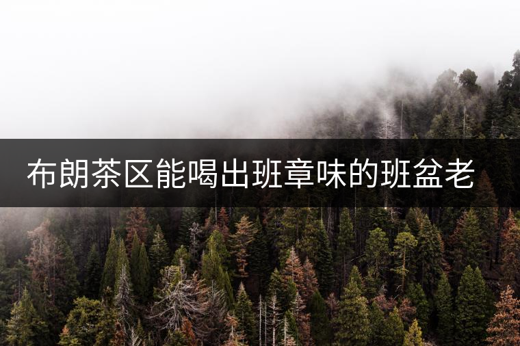 布朗茶區(qū)能喝出班章味的班盆老寨你知道嗎？