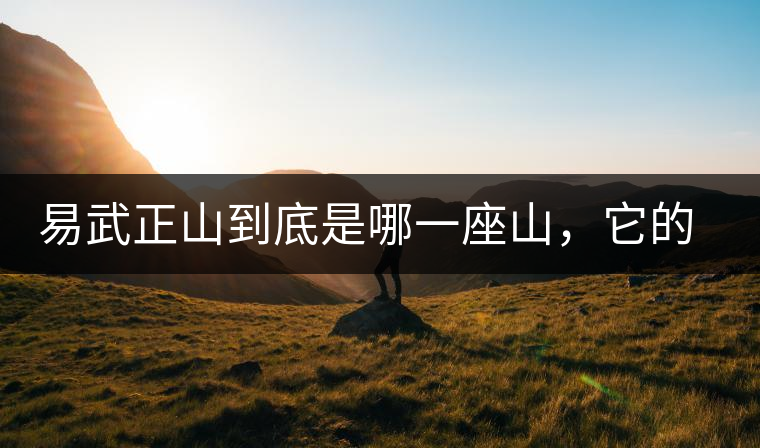 易武正山到底是哪一座山，它的含義你了解嗎？