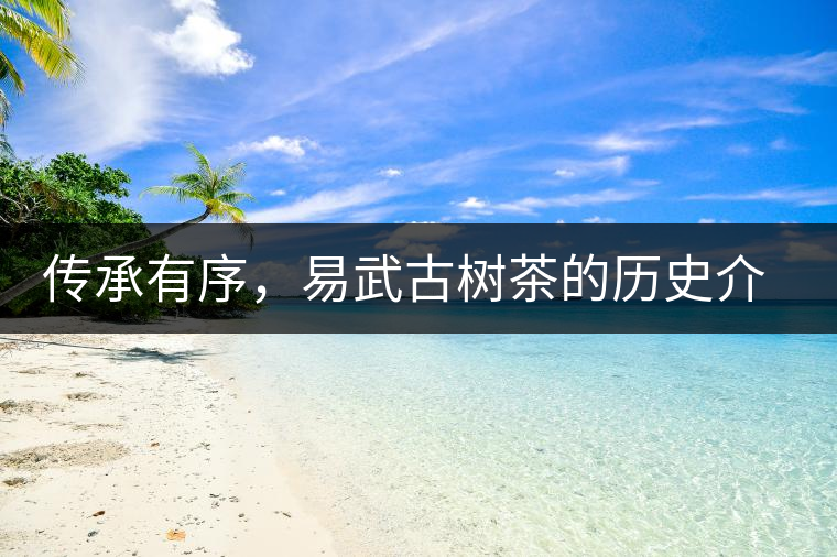 傳承有序，易武古樹(shù)茶的歷史介紹
