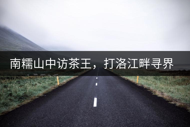 南糯山中訪茶王，打洛江畔尋界碑