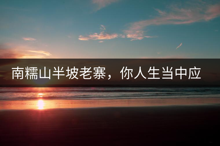 南糯山半坡老寨，你人生當中應(yīng)該入手的第一片勐海味古樹純料普洱茶