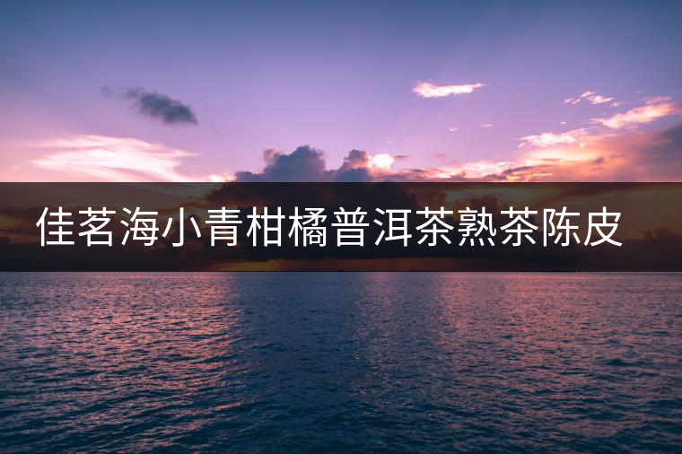 佳茗海小青柑橘普洱茶熟茶陳皮普洱新會(huì)小金桔柑普茶葉試喝體驗(yàn)裝