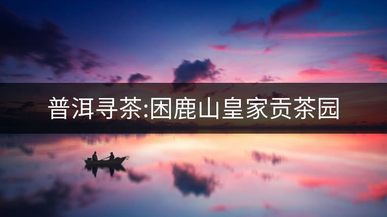 普洱尋茶:困鹿山皇家貢茶園