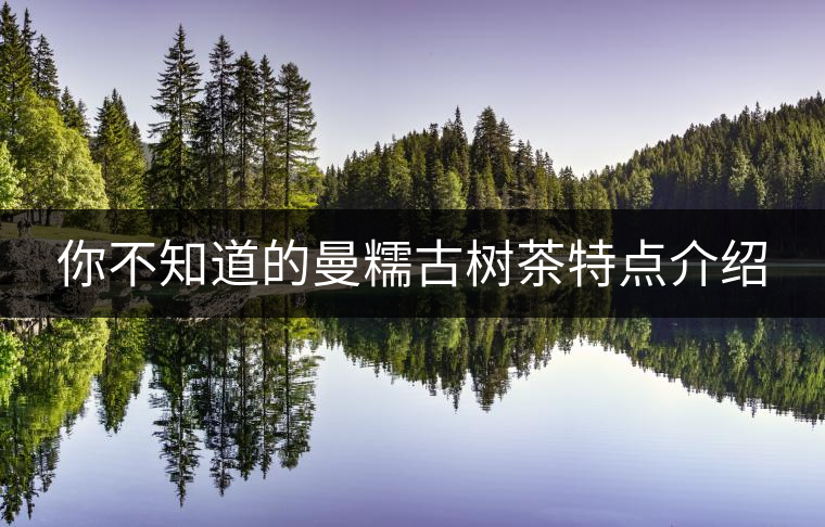 你不知道的曼糯古樹茶特點介紹