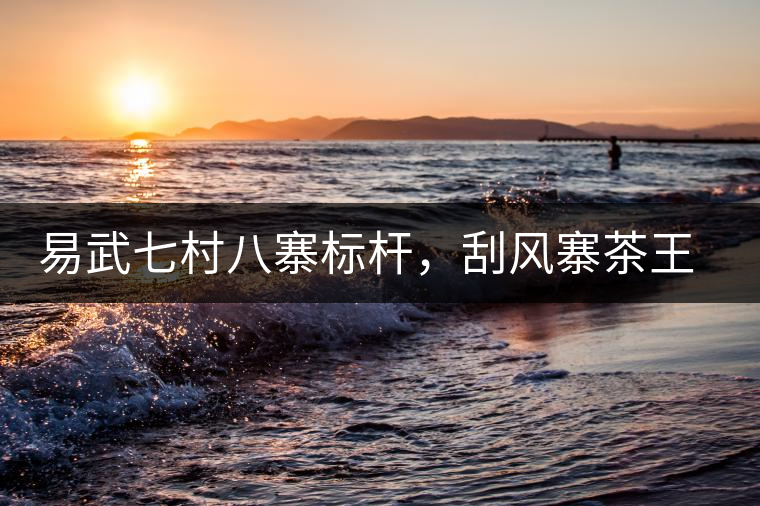 易武七村八寨標(biāo)桿，刮風(fēng)寨茶王樹介紹