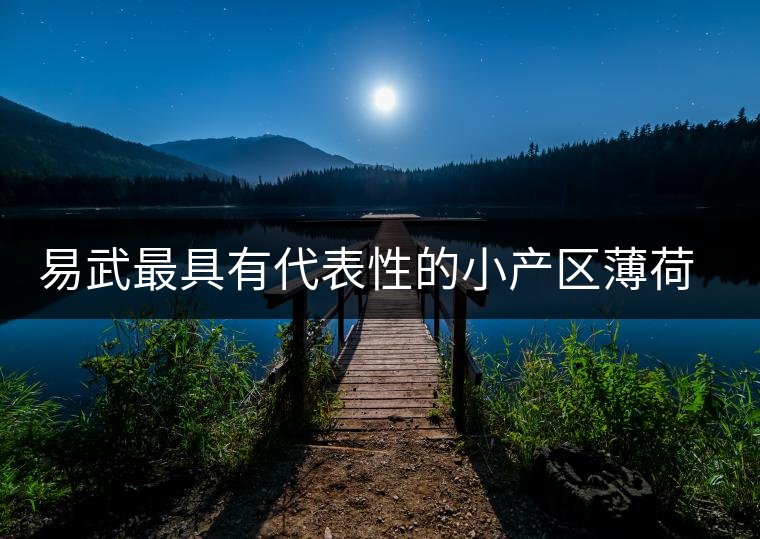 易武最具有代表性的小產(chǎn)區(qū)薄荷塘，一滴都不舍得浪費(fèi)