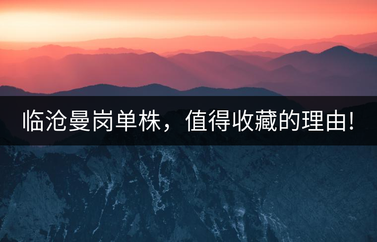 臨滄曼崗單株，值得收藏的理由!