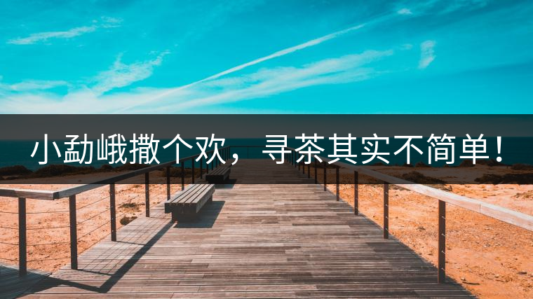 小勐峨撒個(gè)歡，尋茶其實(shí)不簡單！