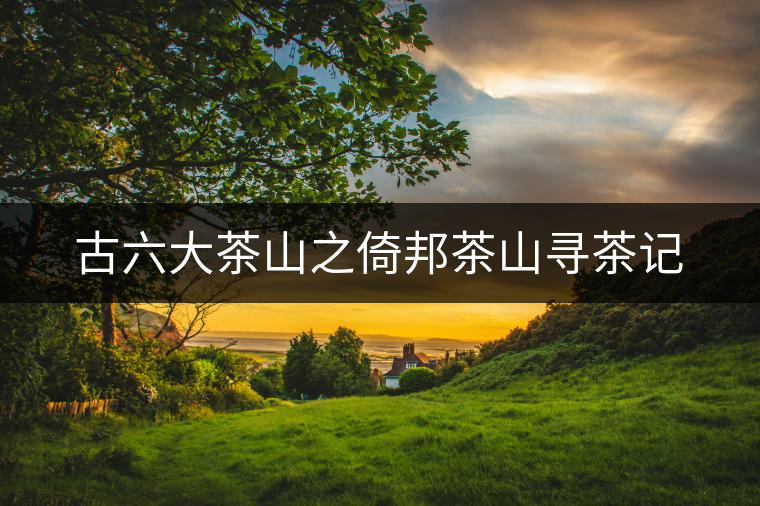 古六大茶山之倚邦茶山尋茶記