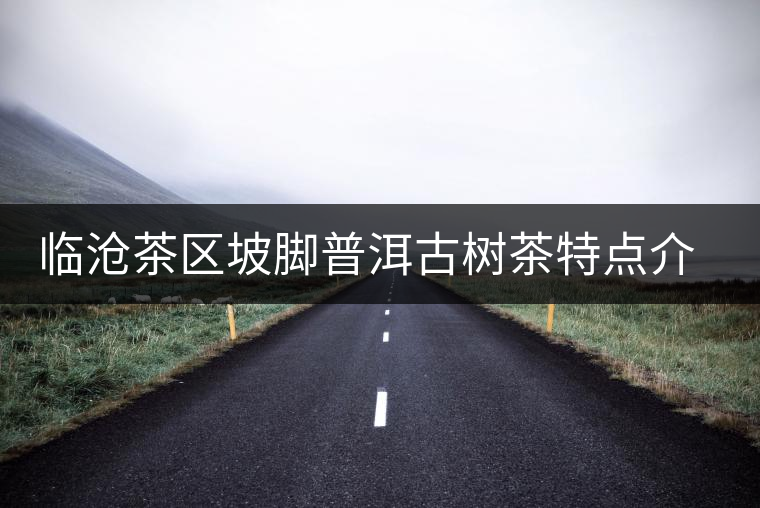 臨滄茶區(qū)坡腳普洱古樹茶特點介紹