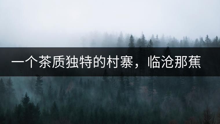 一個(gè)茶質(zhì)獨(dú)特的村寨，臨滄那蕉古樹(shù)茶介紹