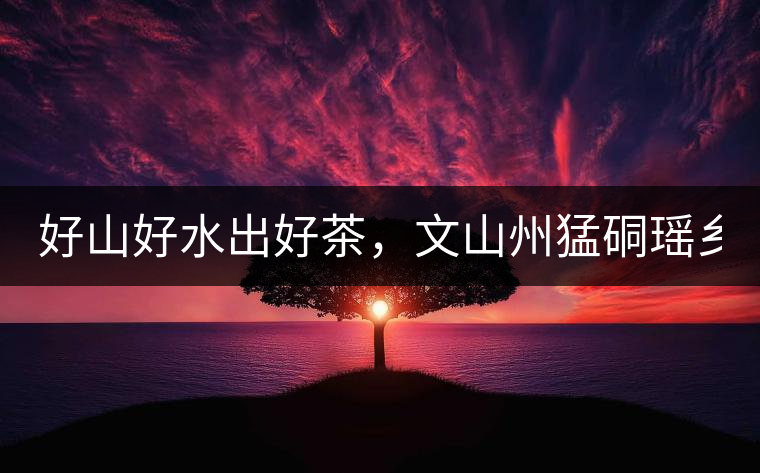 好山好水出好茶，文山州猛硐瑤鄉(xiāng)茶！