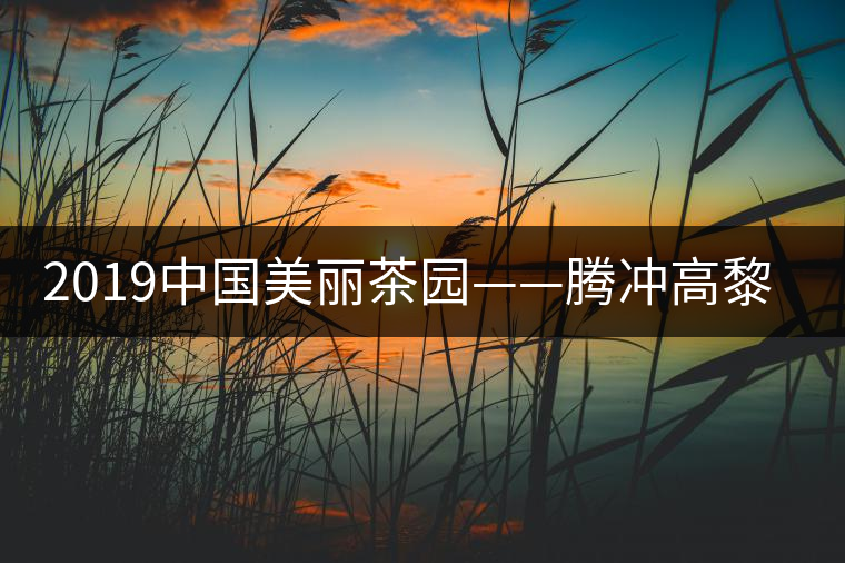 2019中國美麗茶園——騰沖高黎貢山茶