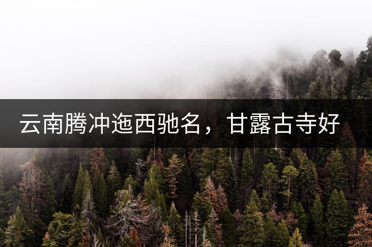 云南騰沖迤西馳名，甘露古寺好茶