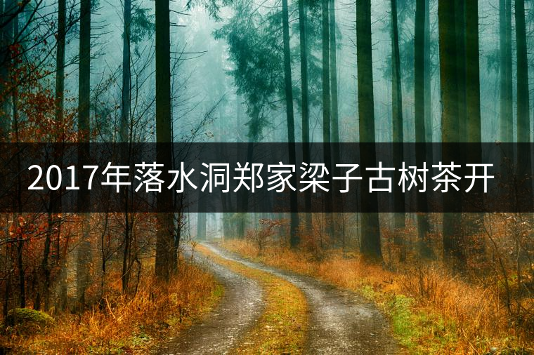 2017年落水洞鄭家梁子古樹茶開湯品鑒