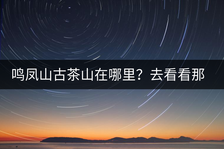 鳴鳳山古茶山在哪里？去看看那鳳凰曾經(jīng)落腳的地方