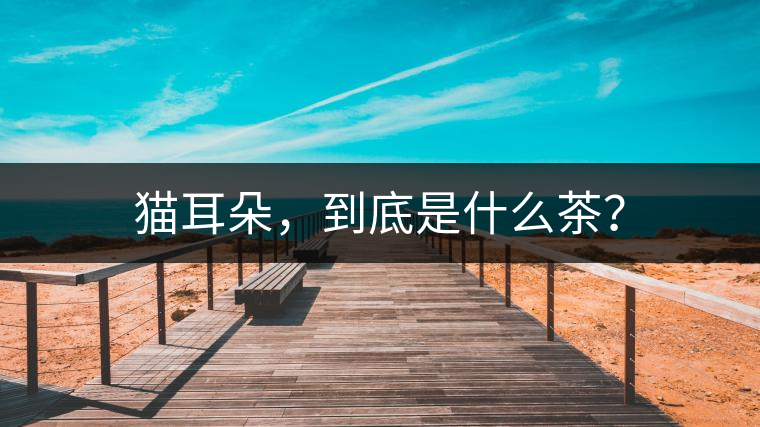 貓耳朵，到底是什么茶？
