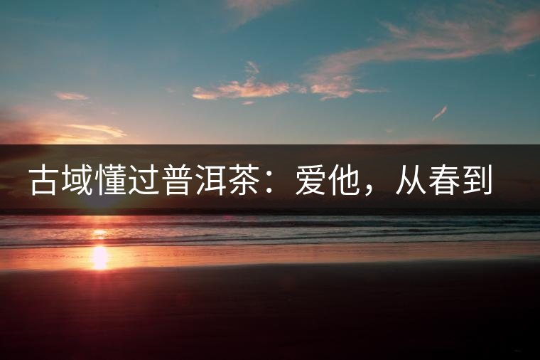 古域懂過普洱茶：愛他，從春到秋，從老到古！