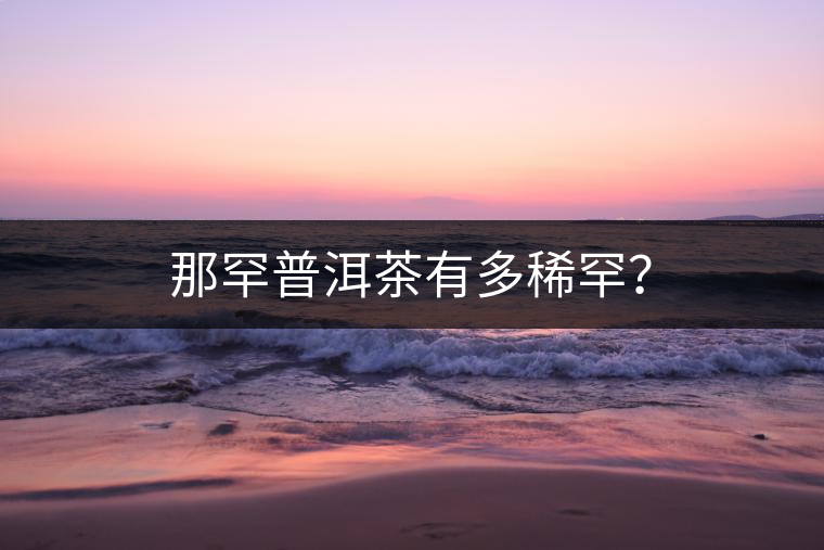 那罕普洱茶有多稀罕？
