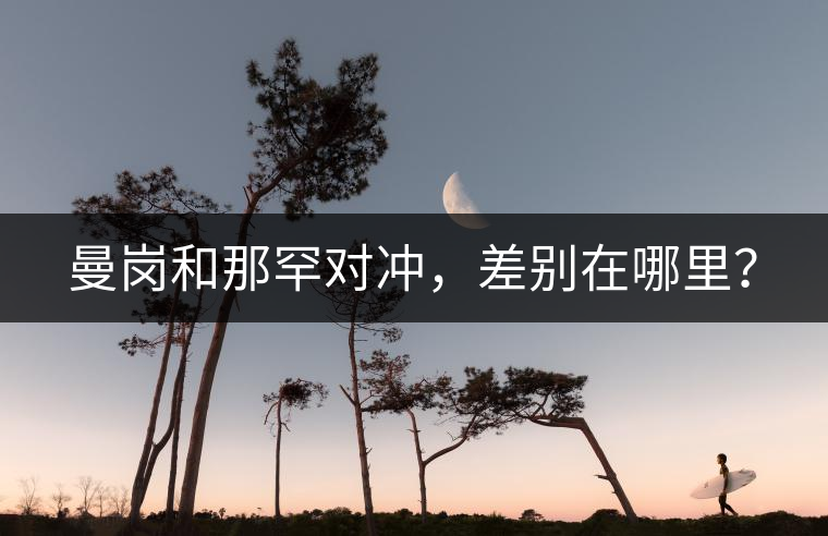 曼崗和那罕對沖，差別在哪里？