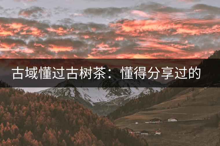 古域懂過古樹茶：懂得分享過的快樂，方為懂過
