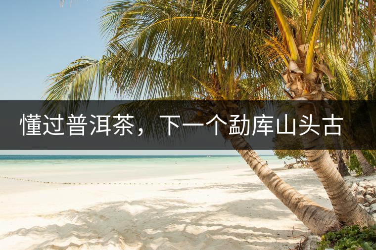 懂過普洱茶，下一個勐庫山頭古純的引爆點