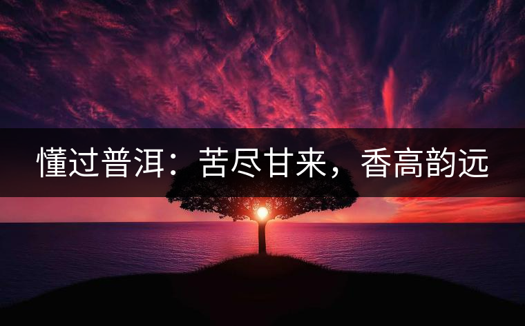 懂過(guò)普洱：苦盡甘來(lái)，香高韻遠(yuǎn)
