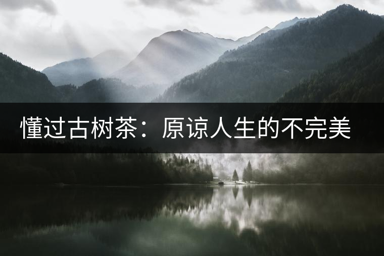 懂過(guò)古樹茶：原諒人生的不完美，多一次心靈的回歸！