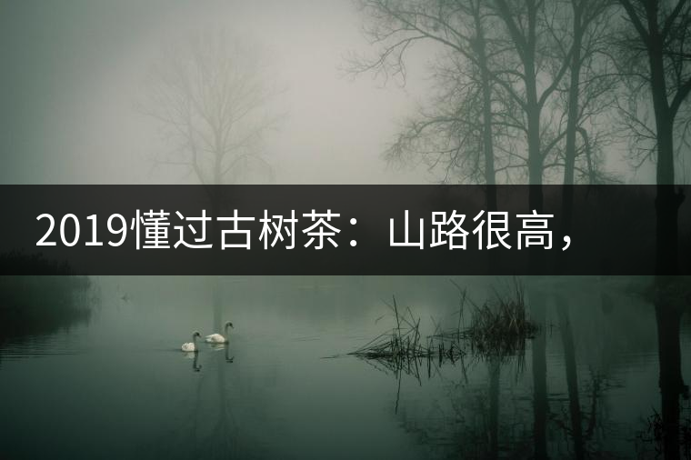 2019懂過古樹茶：山路很高，可仍然有執(zhí)著走向深山的人