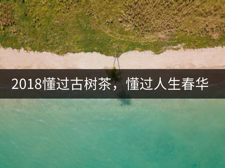 2018懂過古樹茶，懂過人生春華秋實(shí)！