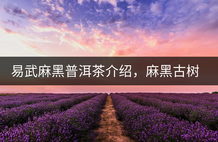 易武麻黑普洱茶介紹，麻黑古樹茶口感特點