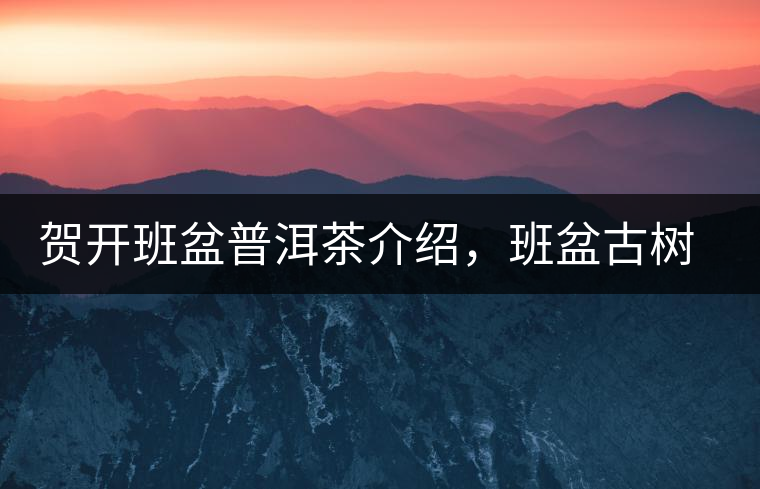 賀開班盆普洱茶介紹，班盆古樹茶口感特點(diǎn)