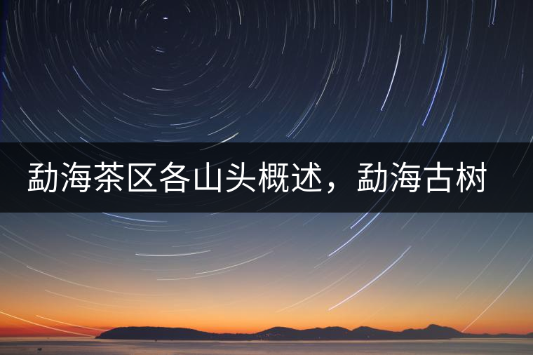 勐海茶區(qū)各山頭概述，勐海古樹茶口感特點