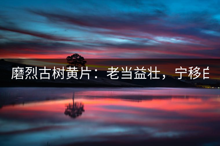 磨烈古樹黃片：老當益壯，寧移白首之心！