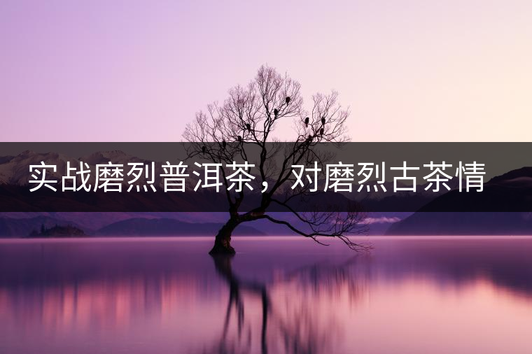 實戰(zhàn)磨烈普洱茶，對磨烈古茶情有獨鐘