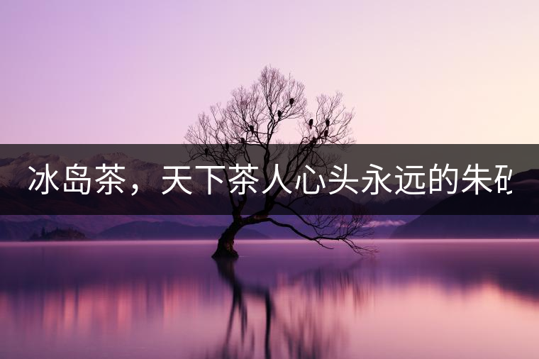 冰島茶，天下茶人心頭永遠的朱砂痣！
