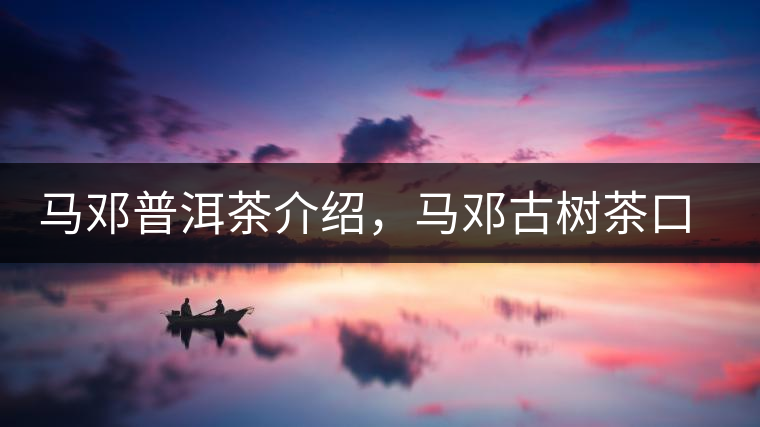 馬鄧普洱茶介紹，馬鄧古樹(shù)茶口感特點(diǎn)