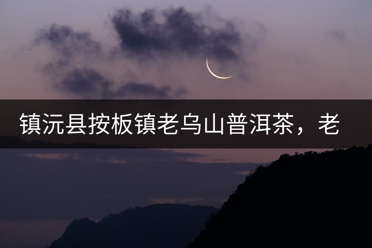 鎮(zhèn)沅縣按板鎮(zhèn)老烏山普洱茶，老烏山古樹茶口感特點