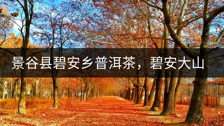 景谷縣碧安鄉(xiāng)普洱茶，碧安大山古樹茶口感特點(diǎn)