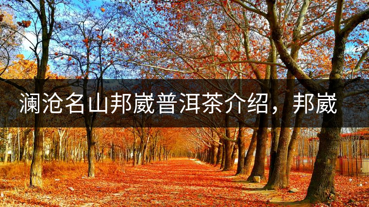 瀾滄名山邦崴普洱茶介紹，邦崴古樹茶口感特點