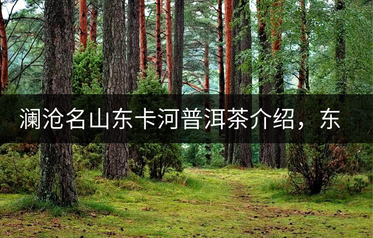瀾滄名山東卡河普洱茶介紹，東卡河古樹(shù)茶口感特點(diǎn)