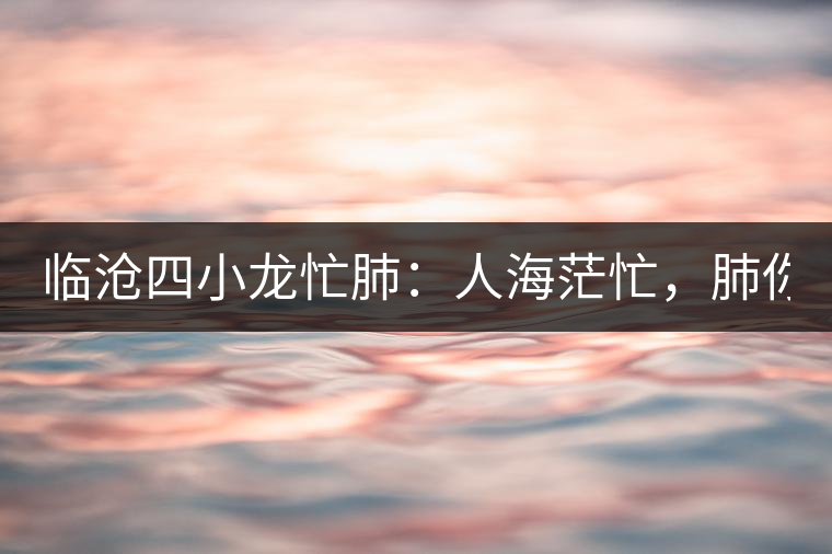 臨滄四小龍忙肺：人海茫忙，肺你莫屬！