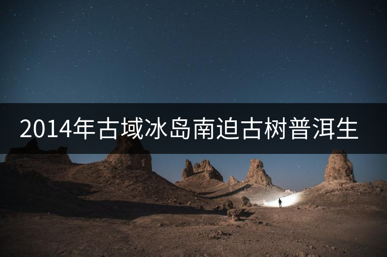 2014年古域冰島南迫古樹普洱生茶 2014年古域冰島南迫古樹普洱生茶