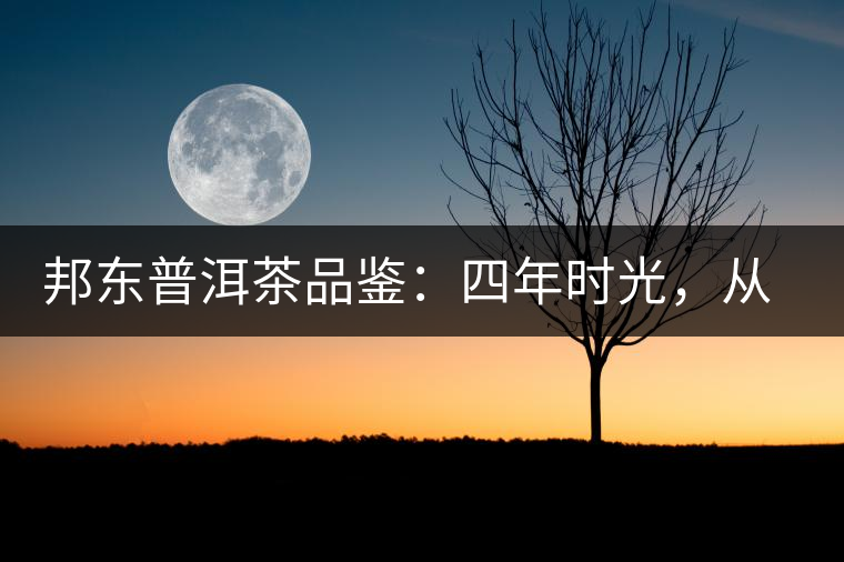 邦東普洱茶品鑒：四年時光，從張揚到內(nèi)斂