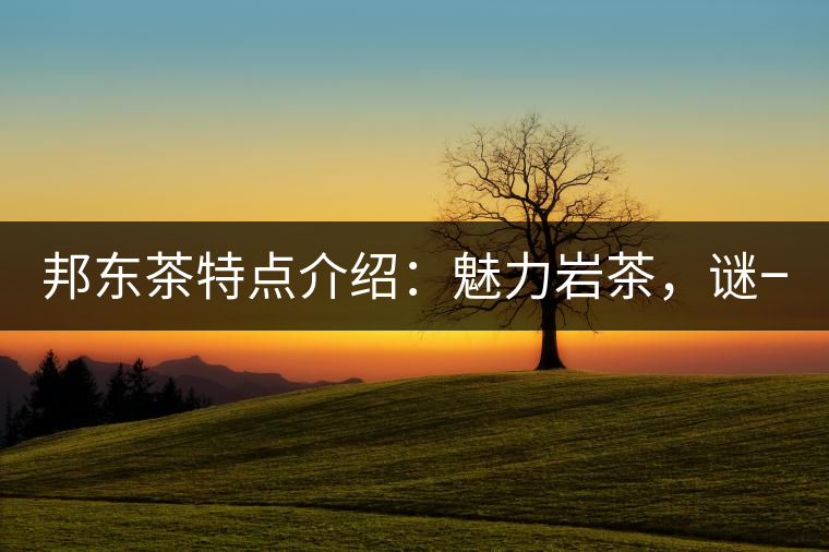 邦東茶特點介紹：魅力巖茶，謎一樣的邦東！
