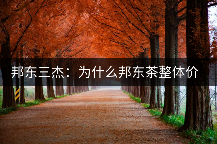 邦東三杰：為什么邦東茶整體價(jià)格一直比較低?